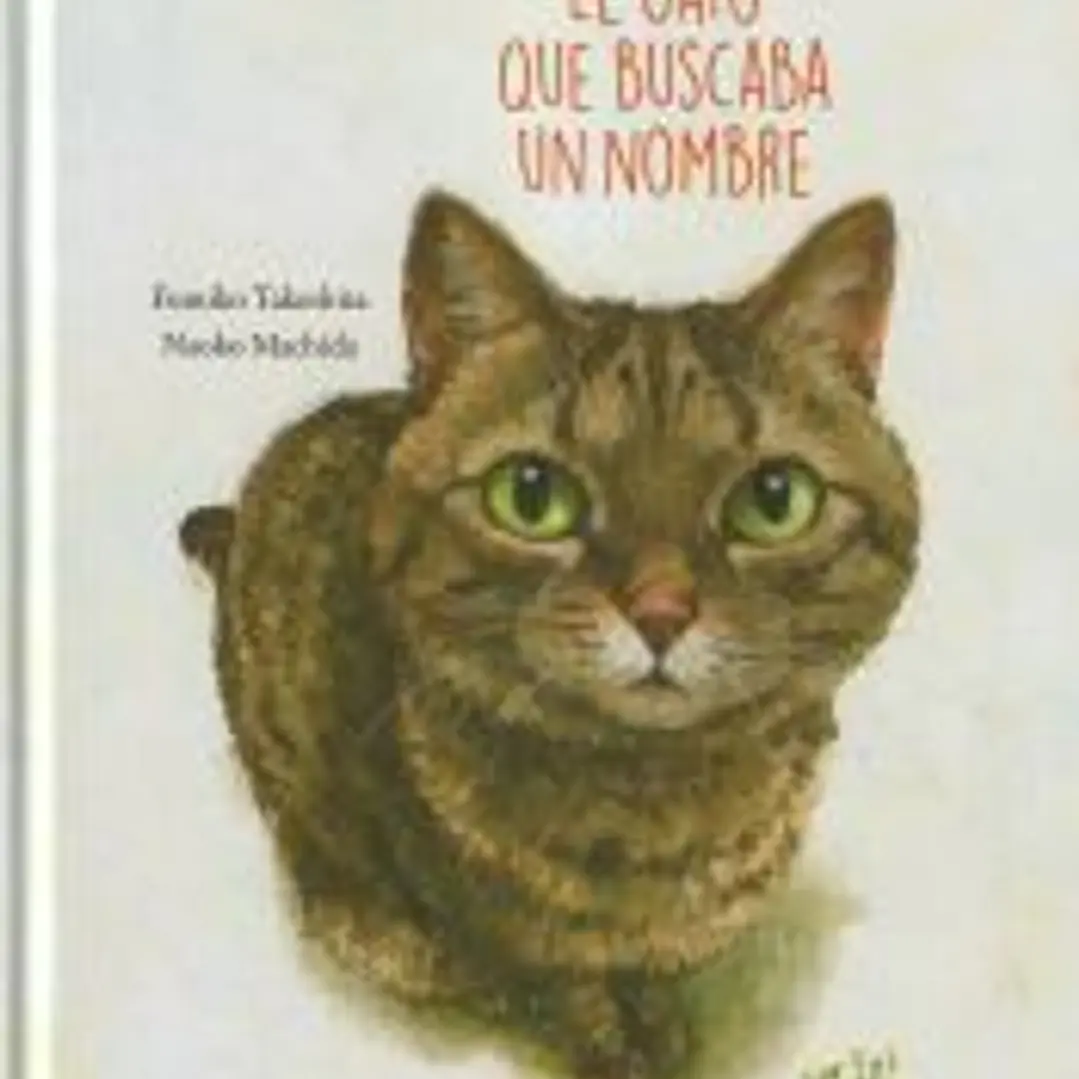 EL GATO QUE BUSCABA UN NOMBRE 1