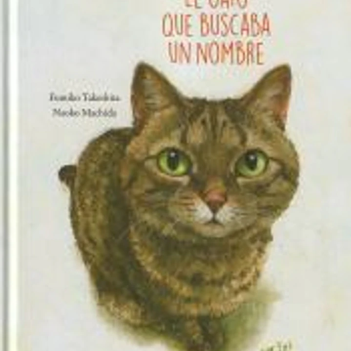 EL GATO QUE BUSCABA UN NOMBRE 1