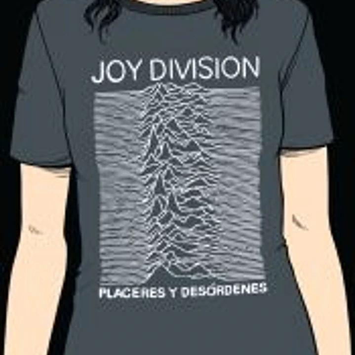 Joy Division. Placeres y desórdenes 1