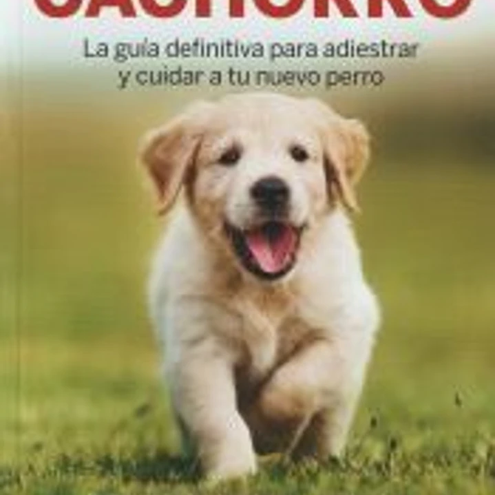 Cómo educar a tu cachorro 1