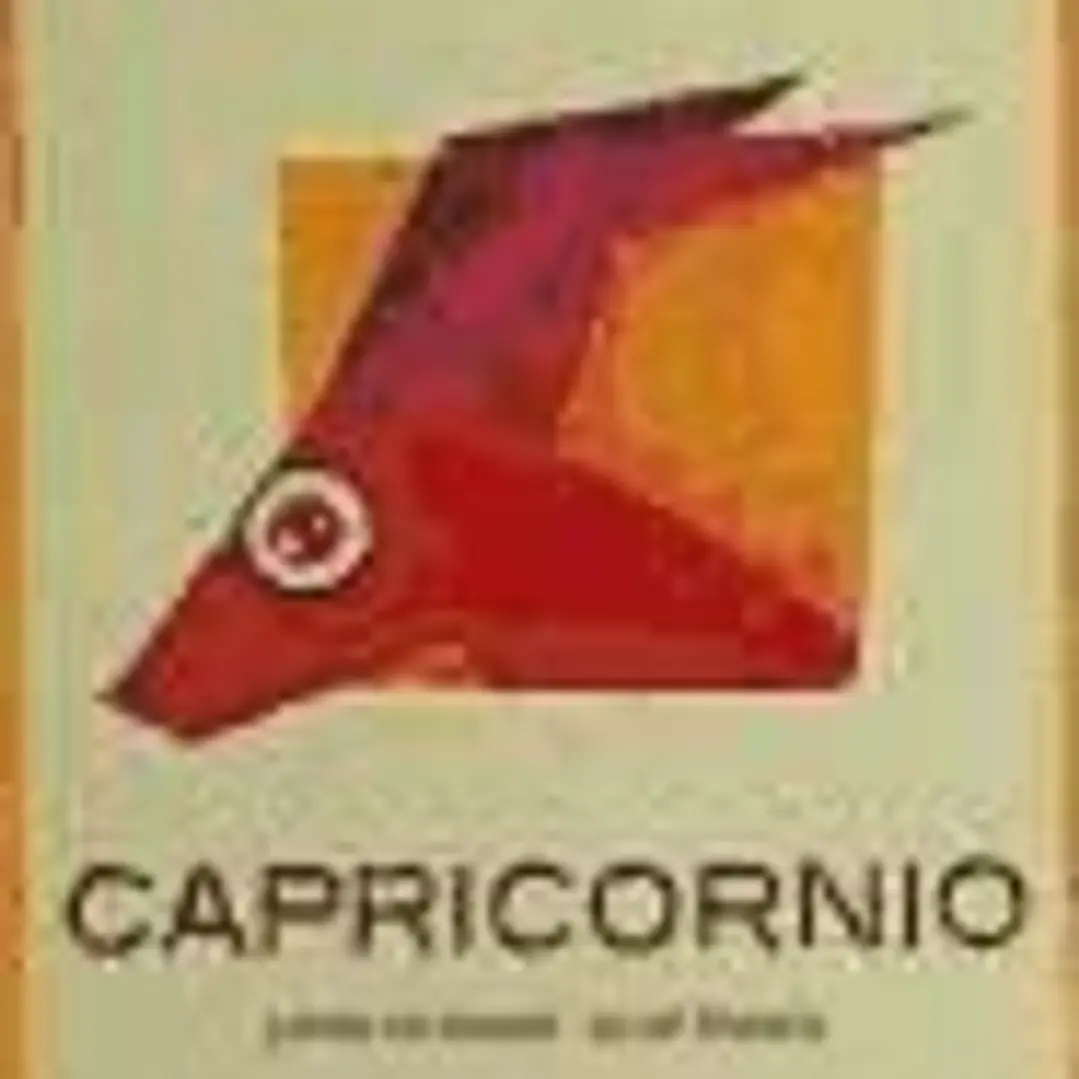CAPRICORNIO 2013 1