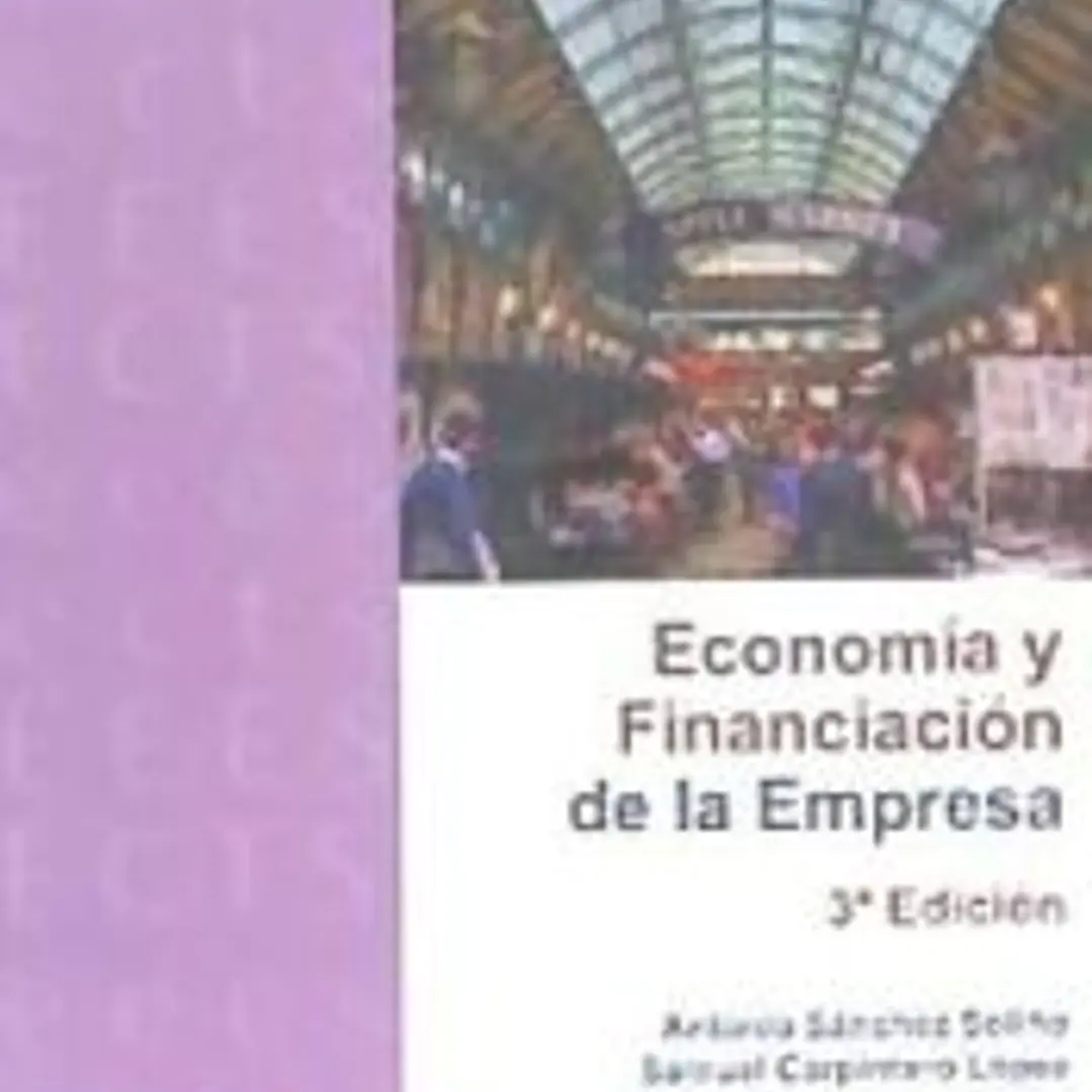 ECONOMÍA Y FINANCIACIÓN DE LA EMPRESA 3 ED. 1
