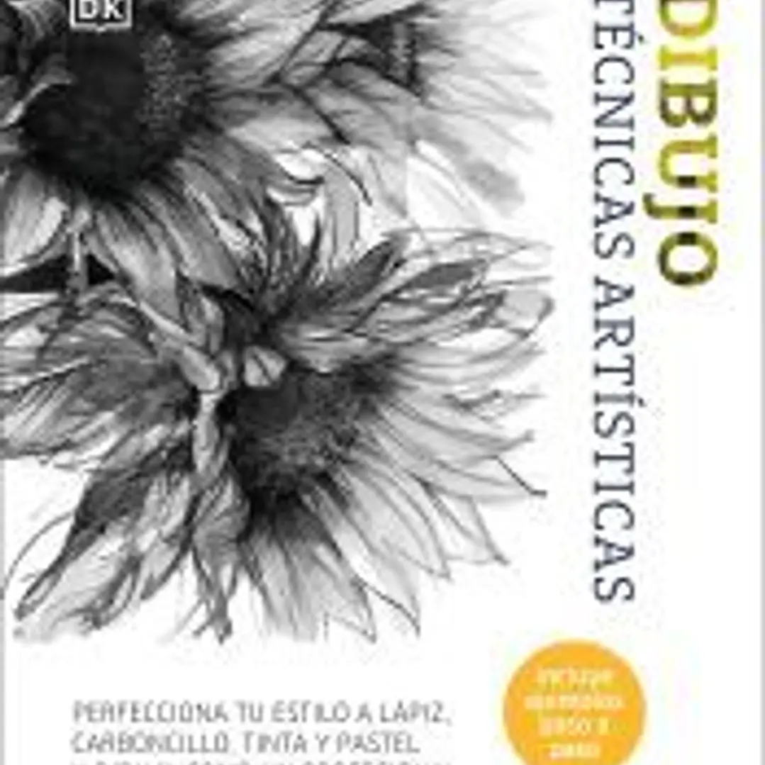 Dibujo. Técnicas artísticas 1