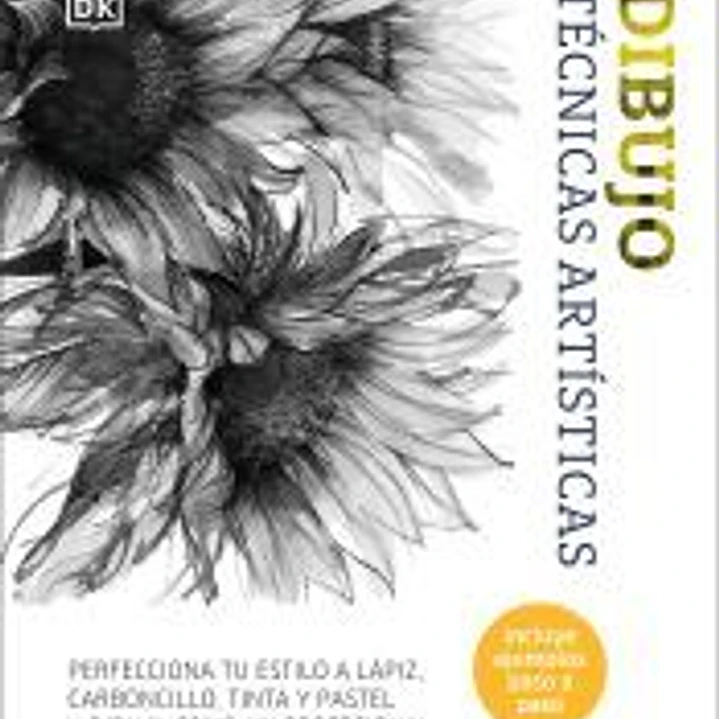 Dibujo. Técnicas artísticas 1