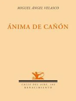 Ánima de cañón