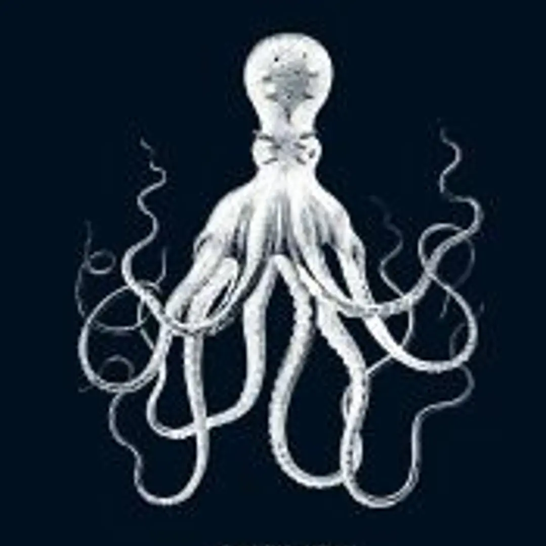 Pulpo 1