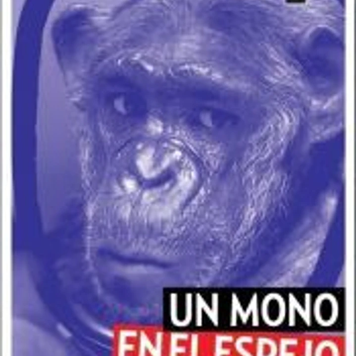 UN MONO EN EL ESPEJO 1