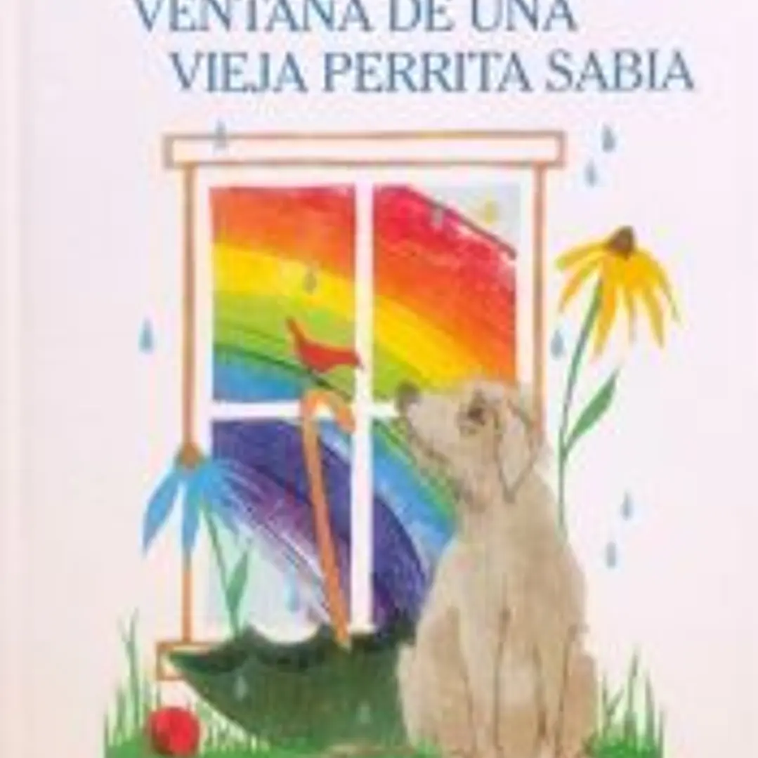 Querría ser la ventana de una vieja perrita sabia 1