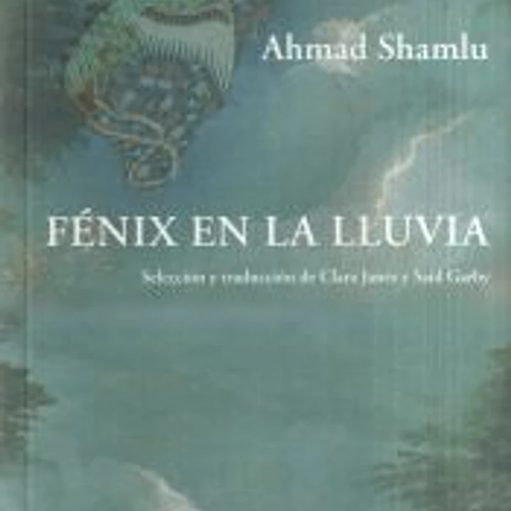 Fénix en la lluvia 1