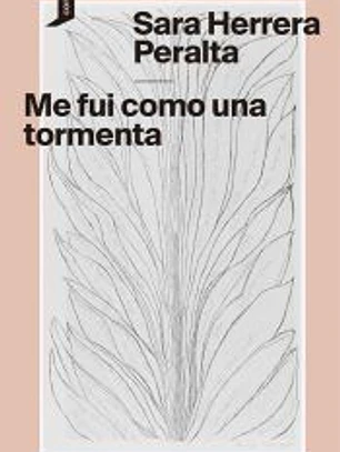 Me fui como una tormenta