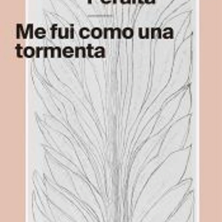 Me fui como una tormenta 1