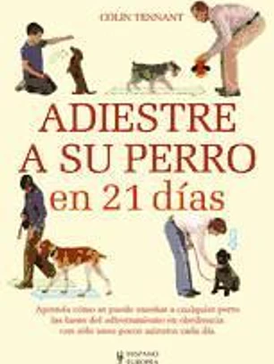 Adiestre a su perro en 21 días