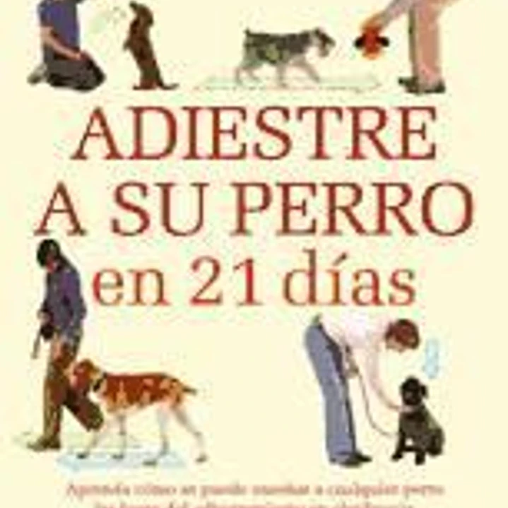 Adiestre a su perro en 21 días 1
