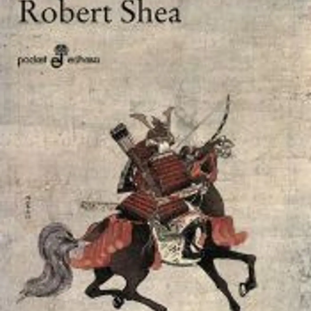 Shiké. Samurais, dragones y zinjas (bolsillo) 1