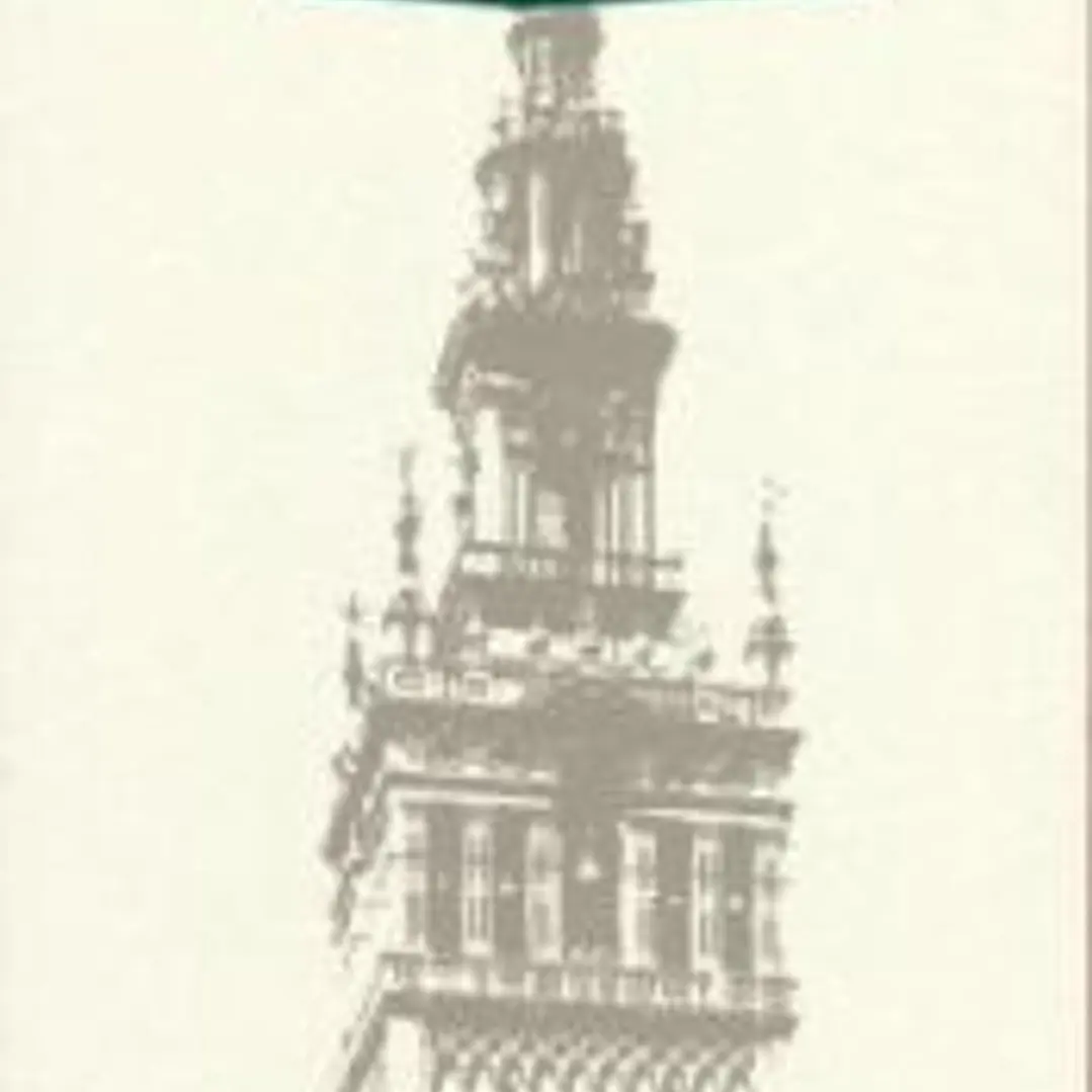 Hernán Ruiz «el Joven» 1