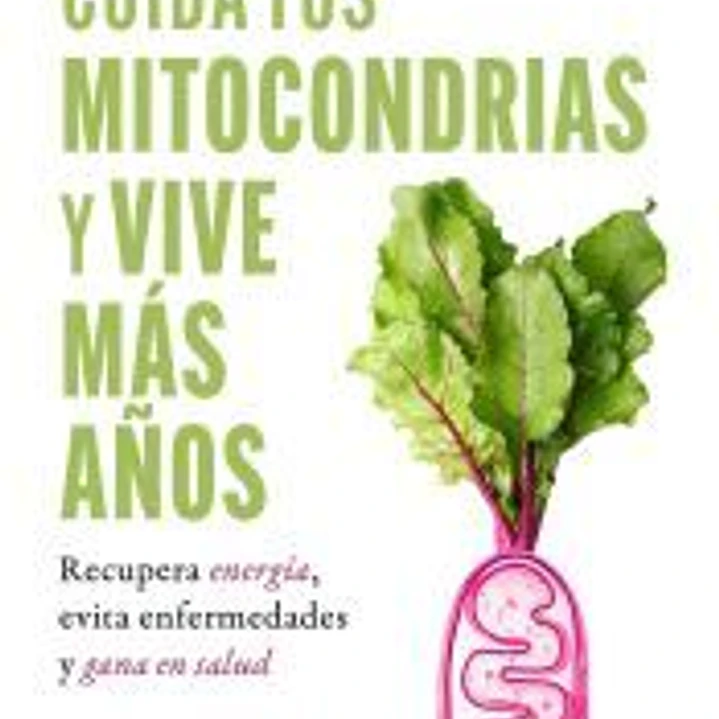 Cuida tus mitocondrias y vive más años 1