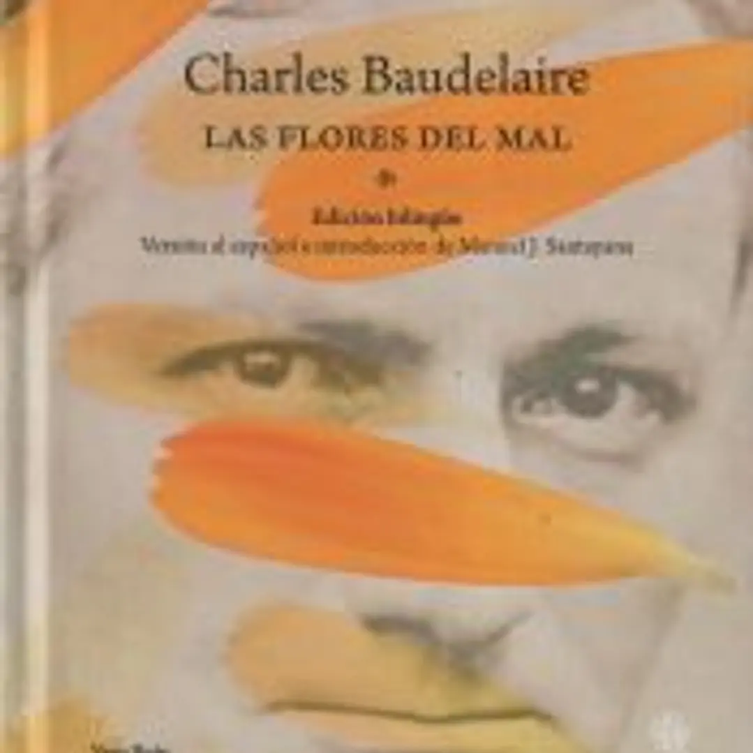 Las flores del mal 1