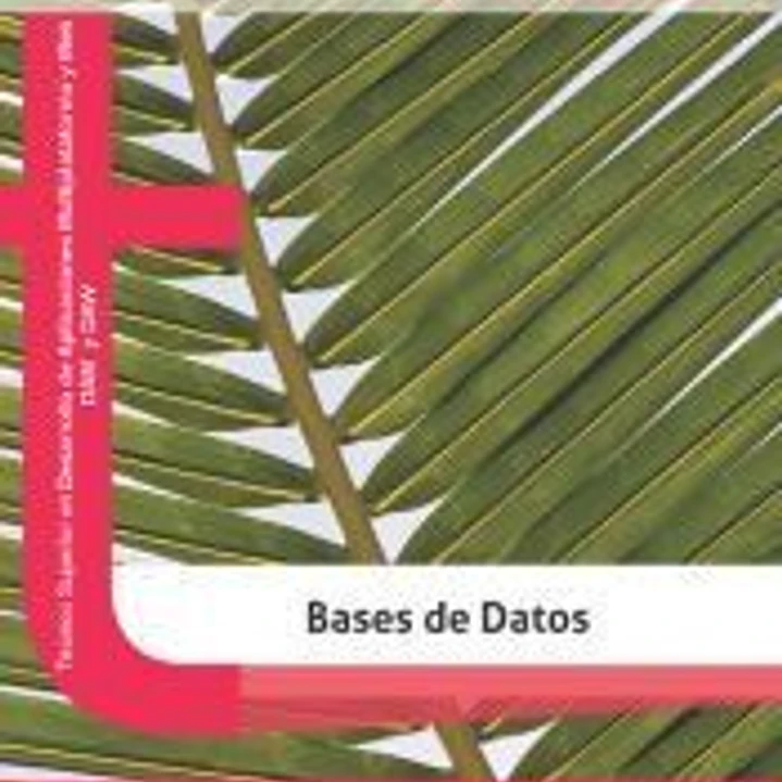 Bases De Datos 1
