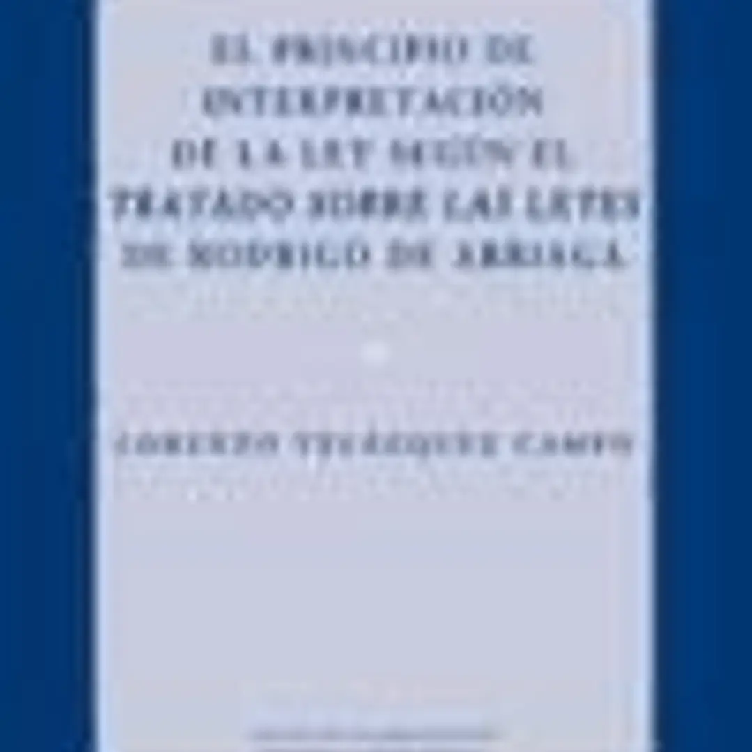 PRINCIPIO INTERPRETACION LEY SEGUN TRATADO LEYES RODRIGO ARR 1