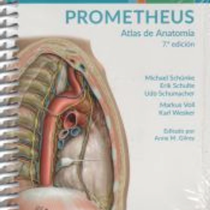 PROMETHEUS. Atlas de Anatomía.Fichas de autoevaluación: Órganos internos 1