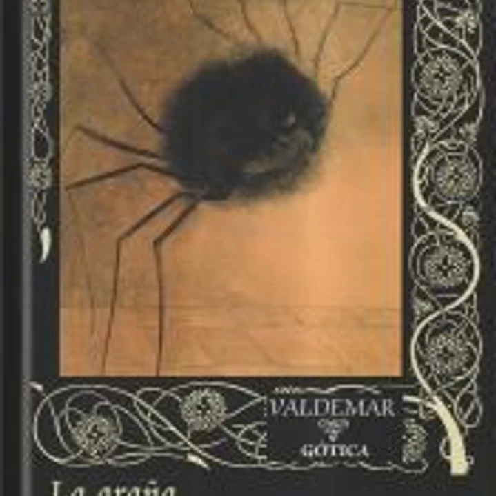 La araña 1