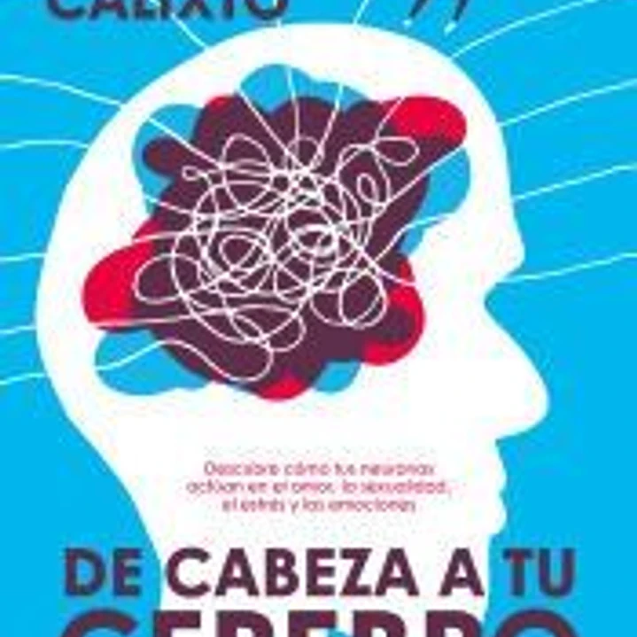 De cabeza a tu cerebro 1