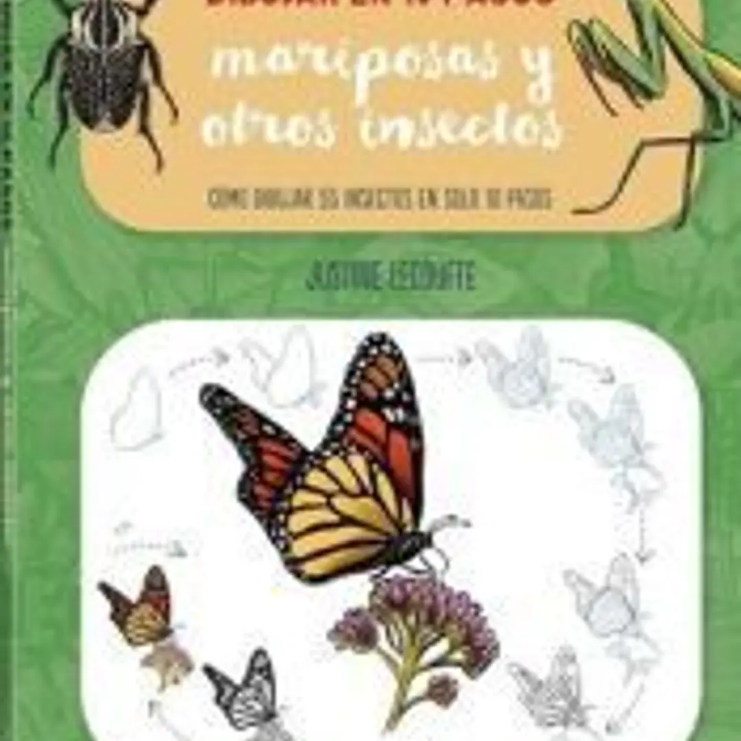 Dibujar en 10 pasos mariposas y otros insectos 1