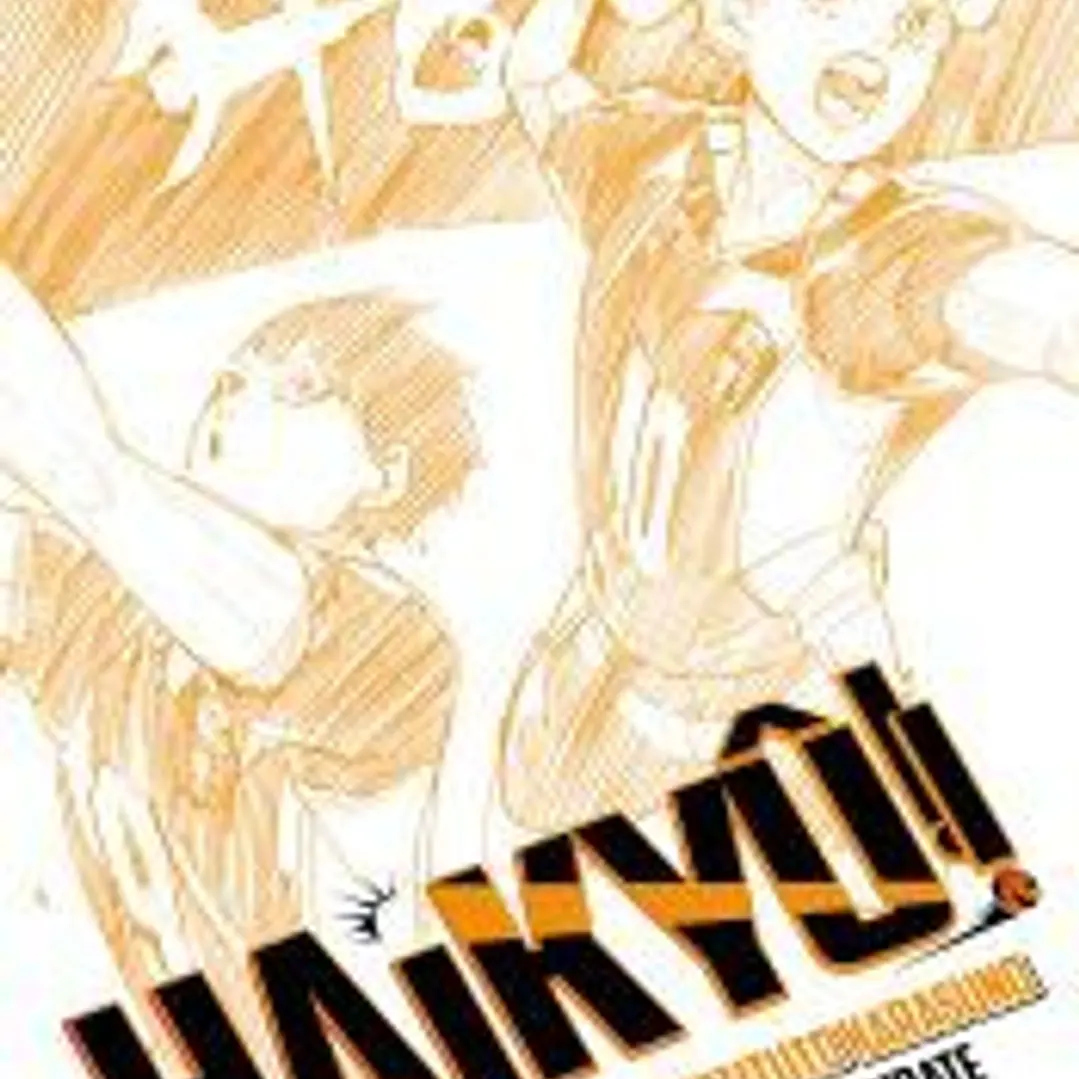 Haikyû!! (Novela) nº 01 1