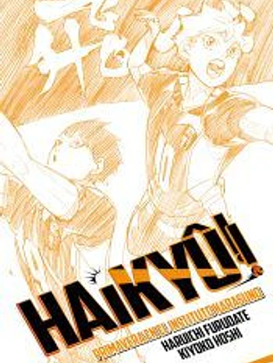 Haikyû!! (Novela) nº 01