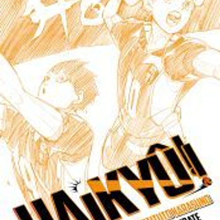 Haikyû!! (Novela) nº 01 1
