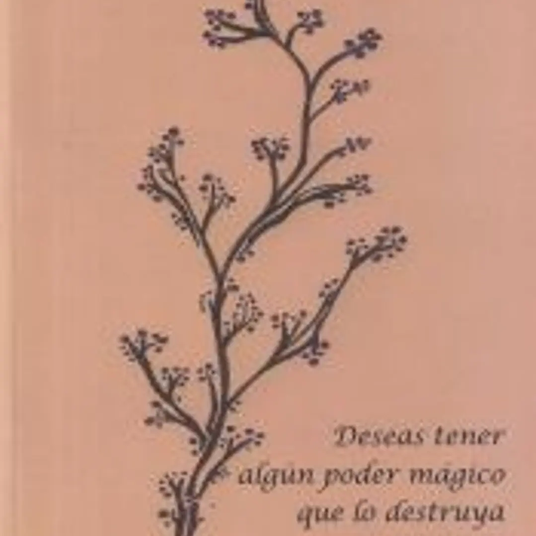 DESEAS TENER ALGÚN PODER MÁGICO QUE LO DESTRUYA 1