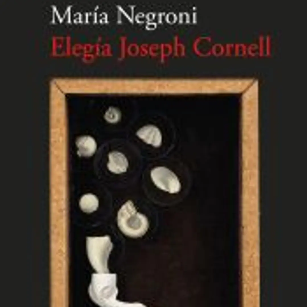 Elegía Joseph Cornell 1
