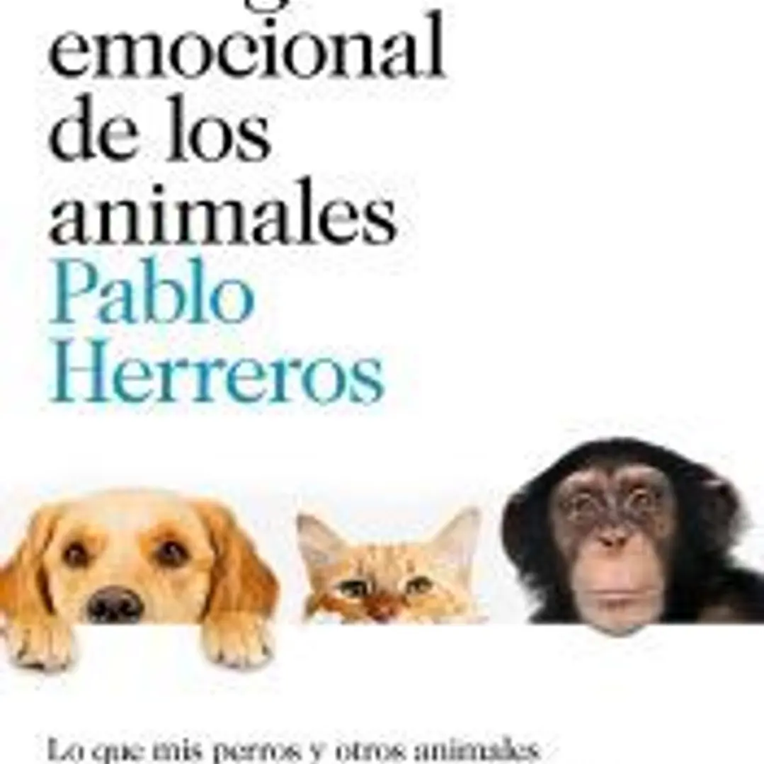 La inteligencia emocional de los animales: Lo que mis perros y otros animales me enseñaron sobre la psicología humana 1