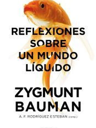 Reflexiones sobre un mundo líquido