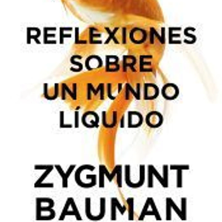 Reflexiones sobre un mundo líquido 1