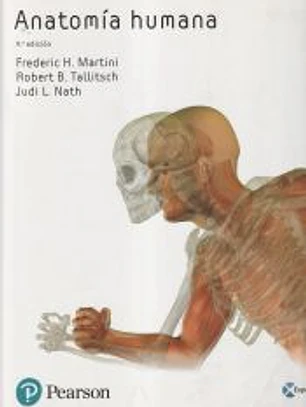 Anatomía humana