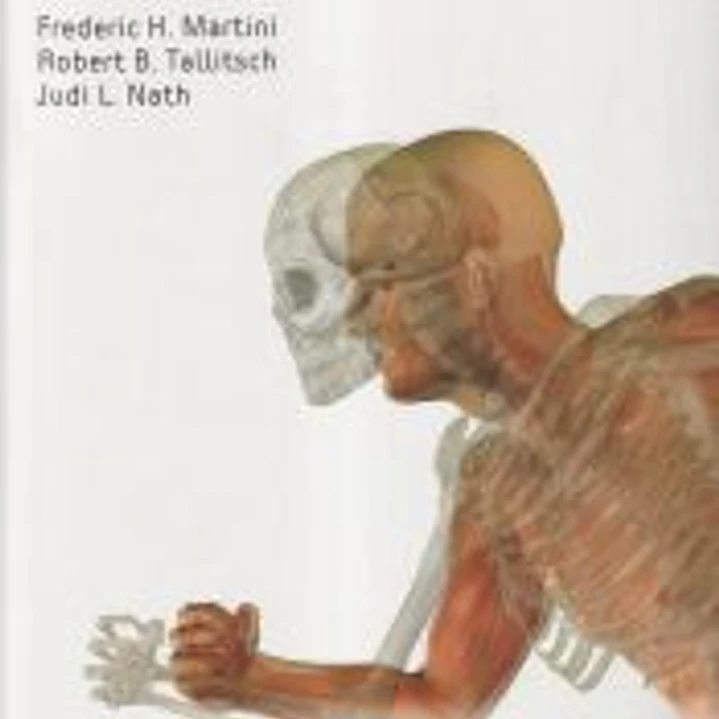 Anatomía humana 1