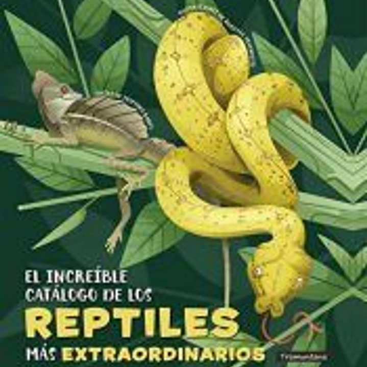 El increíble catálogo de los reptiles más extraordinarios 1