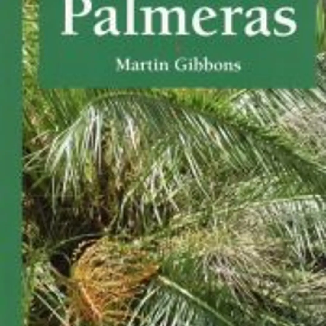 PALMERAS 1