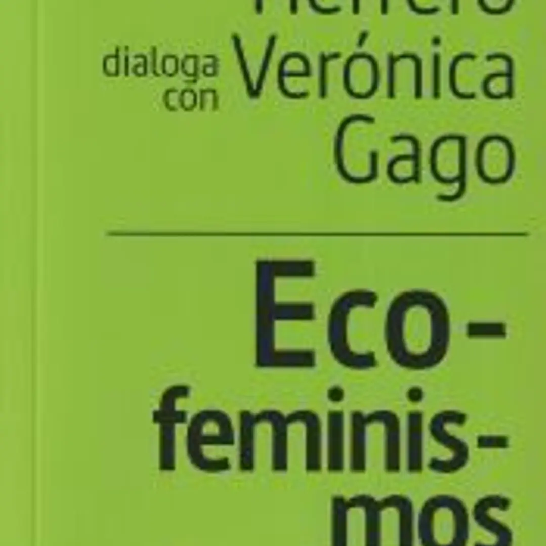 Eco-feminismos: la sostenibilidad de la vida 1