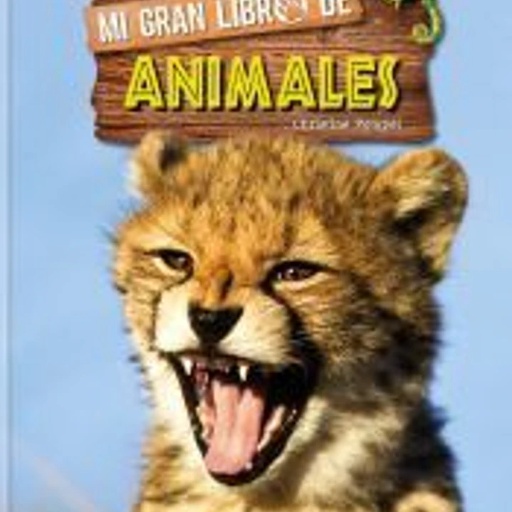 Mi gran libro de animales 1