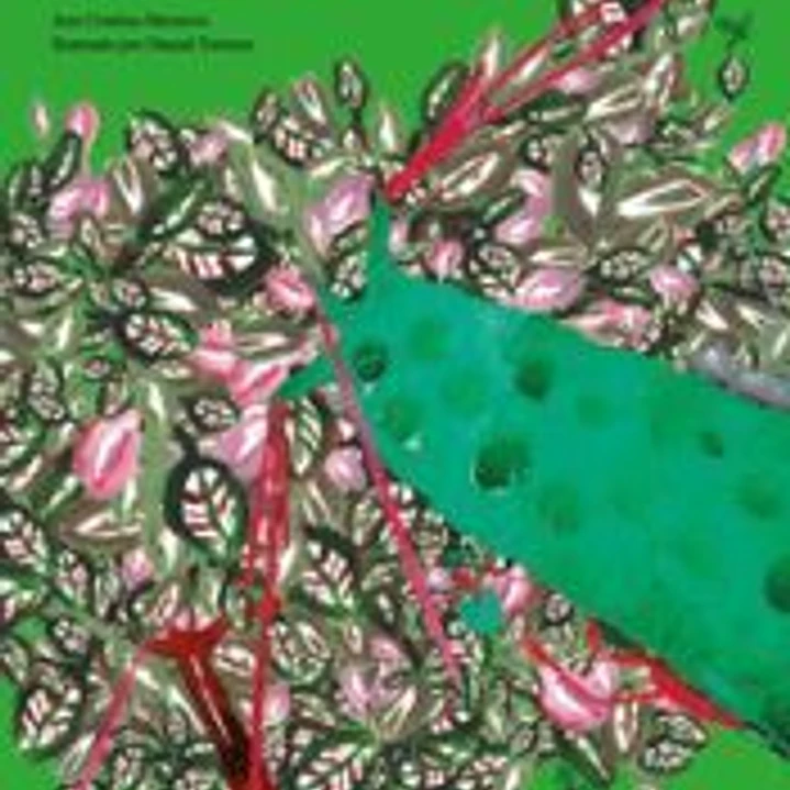 Libro de la selva de los pigmeos Baja 1
