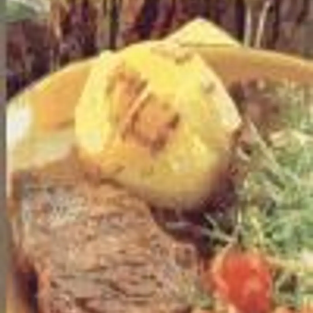 BARBACOAS RECETAS SABROSAS 1