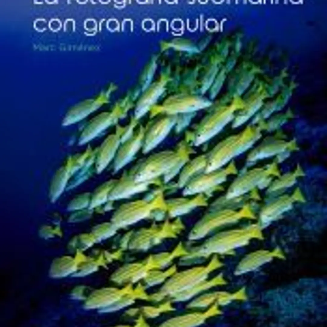 La fotografía submarina con gran angular 1
