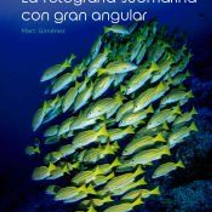 La fotografía submarina con gran angular 1