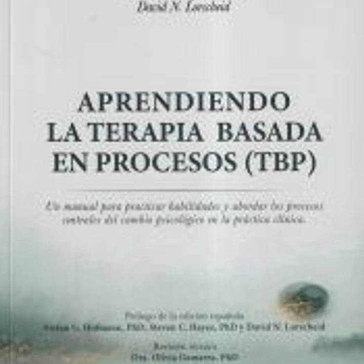 Aprendiendo la terapia basada en procesos 1