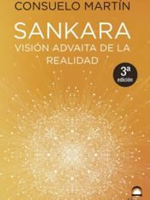 Sankara. Visión advaita de la realidad