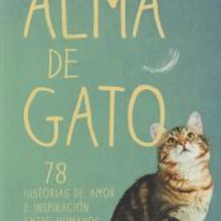 ALMA DE GATO 1