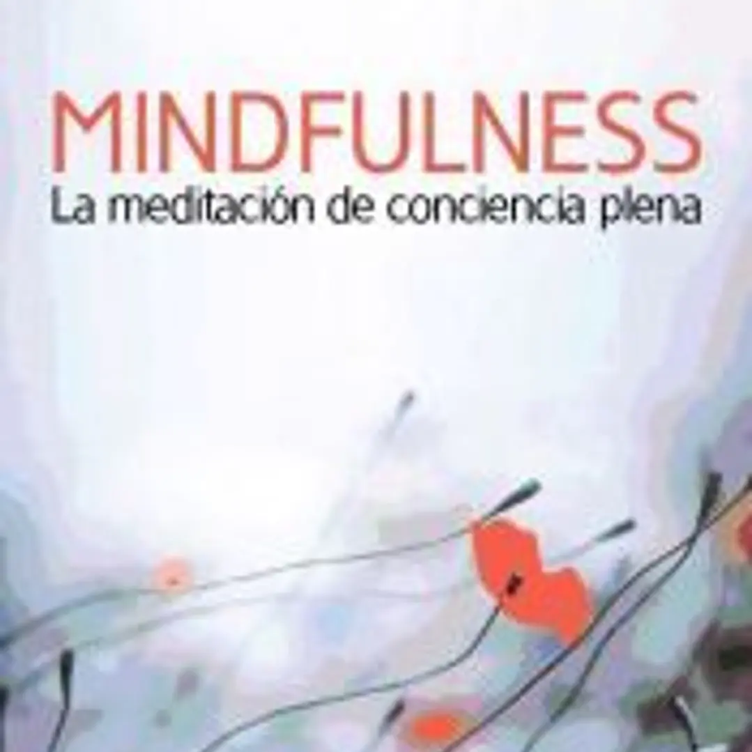 Mindfulness la meditación de conciencia plena 1