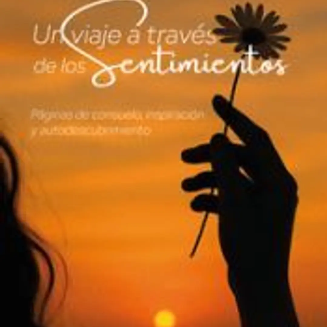 Un viaje a través de los sentimientos 1